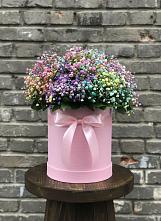 Цветочная композиция из Гипсофила и Розы в шляпной коробке в Кучерле