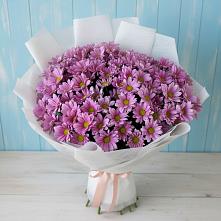 Букет цветов из:  Хризантемы в Кучерле