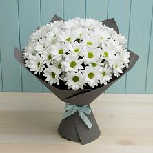 Букет цветов из:  Хризантемы в Кучерле