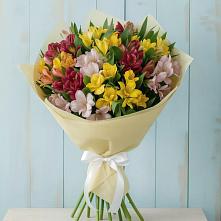 Букет цветов из:  Альстромерии в Кучерле