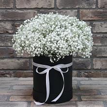 Цветочная композиция из Гипсофила в шляпной коробке в Кучерле