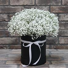Цветочная композиция из Гипсофила в шляпной коробке в Кучерле