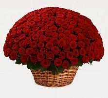 Премиум букет из: Розы в Кучерле